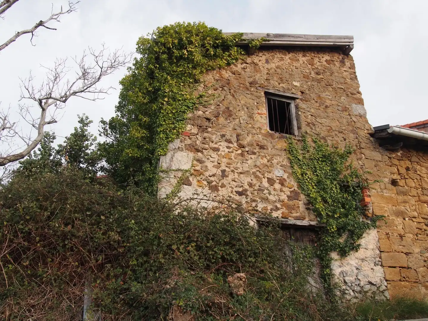 Vista exterior de Finca rústica en venta en Mendexa con Jardín privado