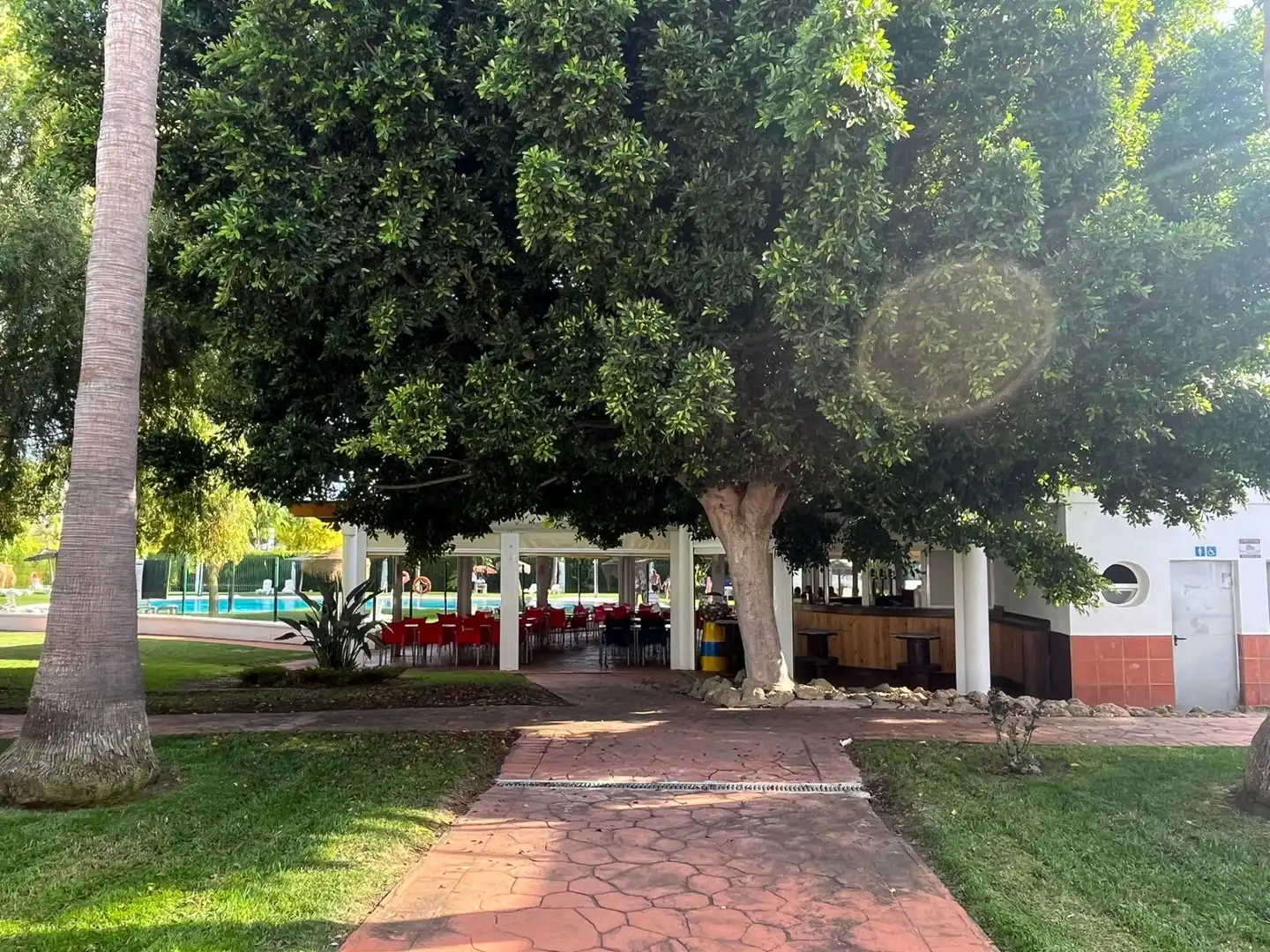 Wohnung mit Aufzug zur Miete in El Portil, imagen 28