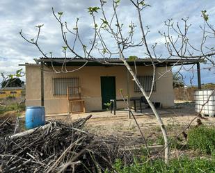 Exterior view of House or chalet for sale in Elche / Elx