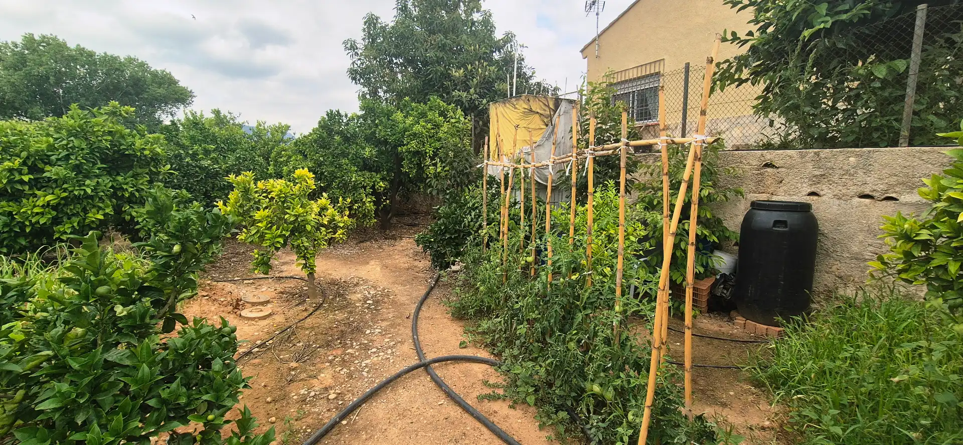 Jardí de Finca rústica en venda en Gandia amb Jardí privat, Terrassa i Moblat