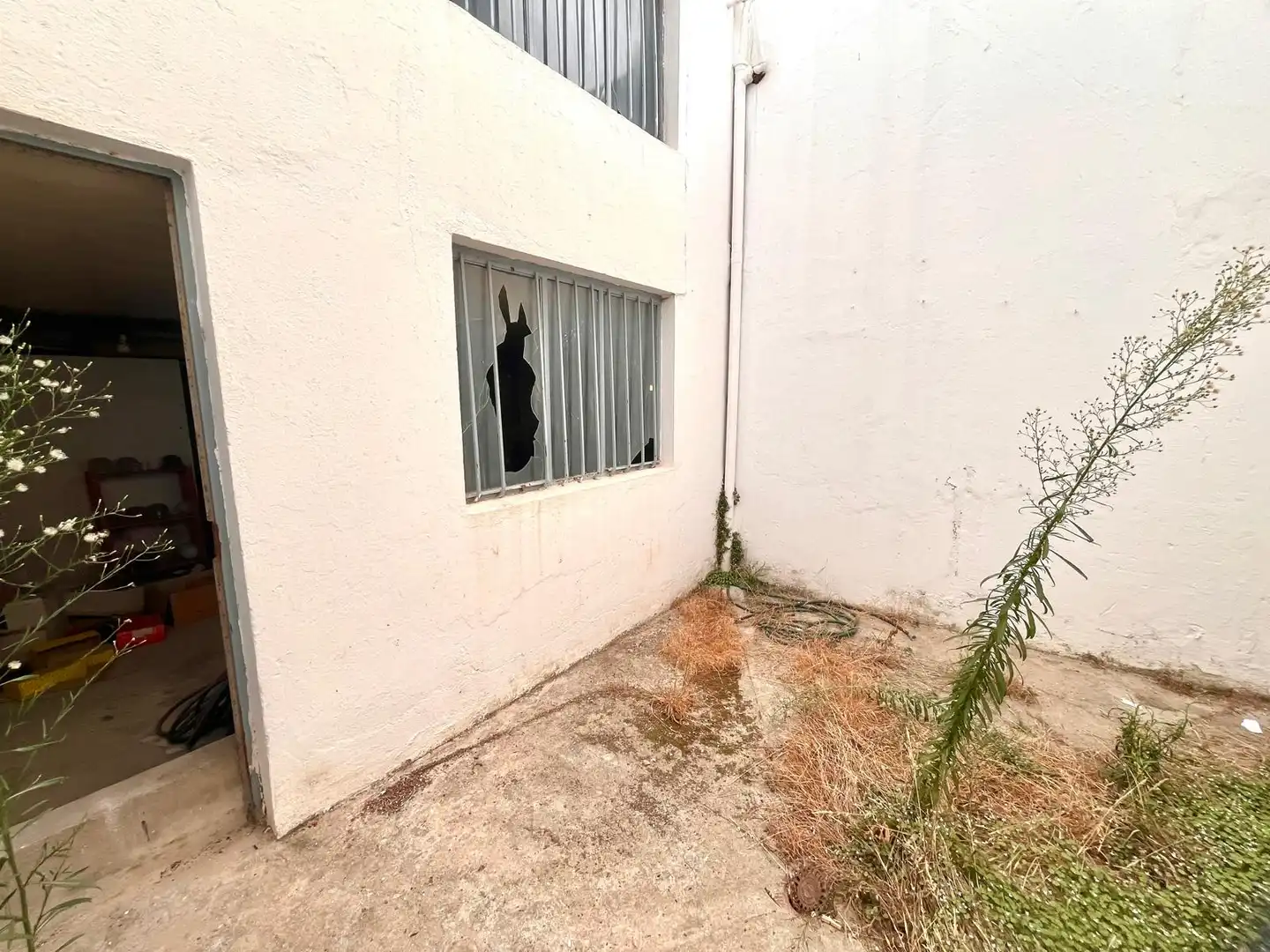 Local comercial en venda a Núcleo urbano, imagen 15