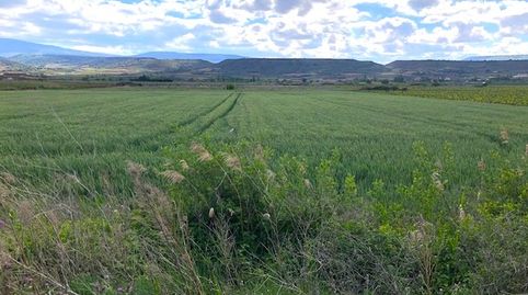 Finca de regadío en Navarrete