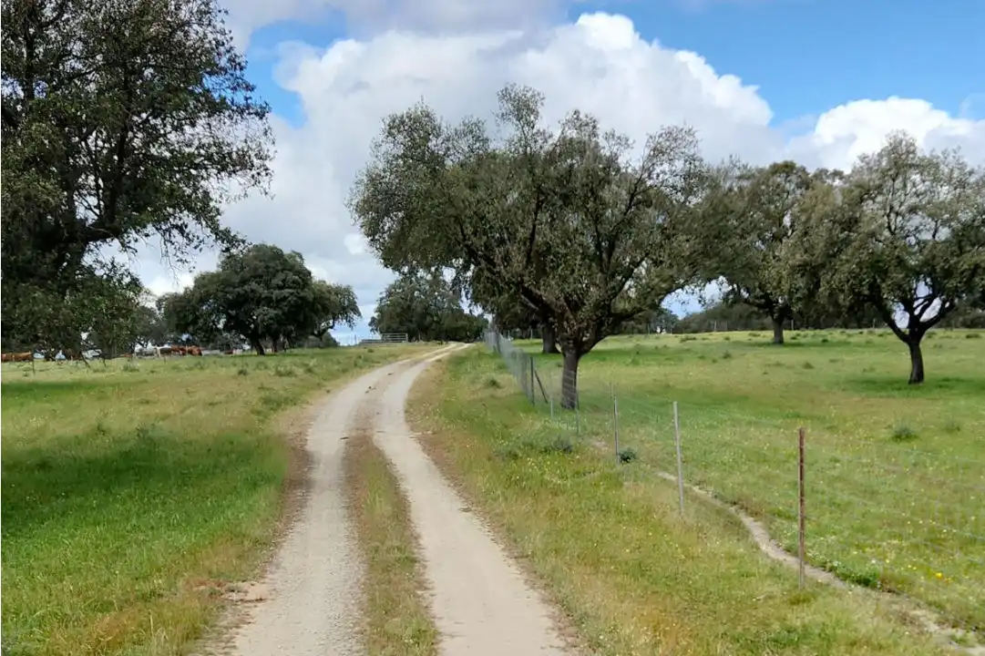 Terreno en venta en Casco Antiguo