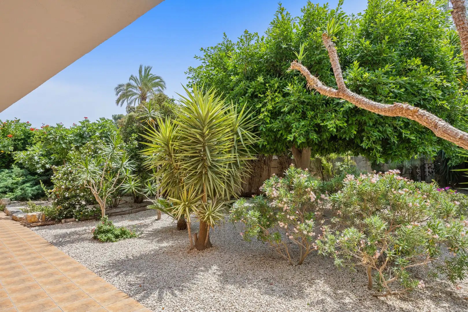 House with garden for sale in Las Rotas / Les Rotes, imagen 16