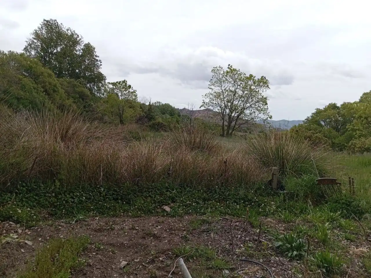 Terreno en venta en Pórtugos