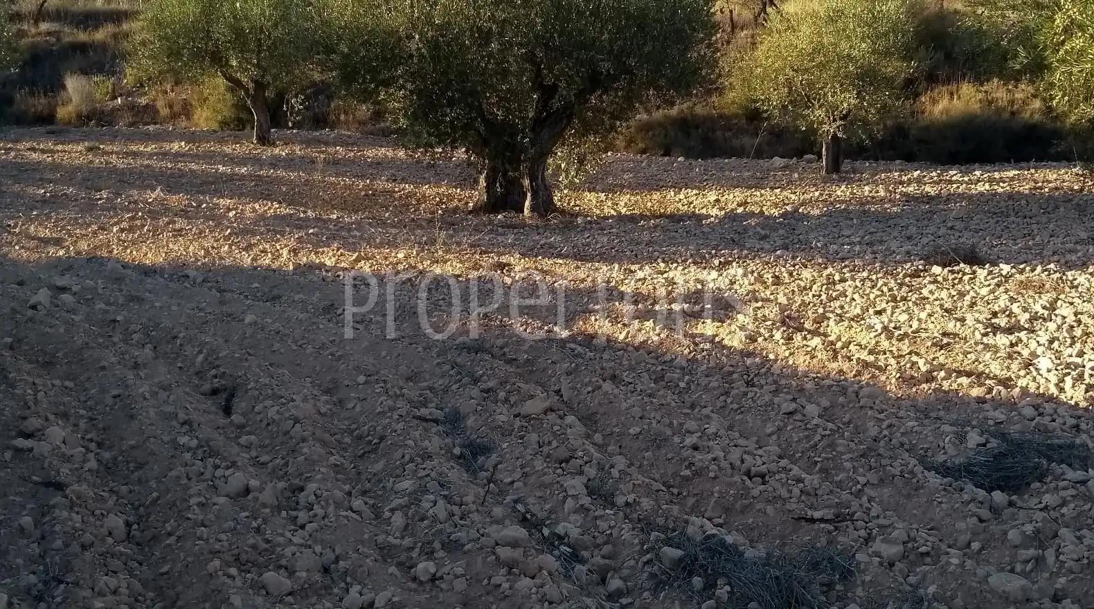 Terrenys i solars en venda a Castalla, imagen 7