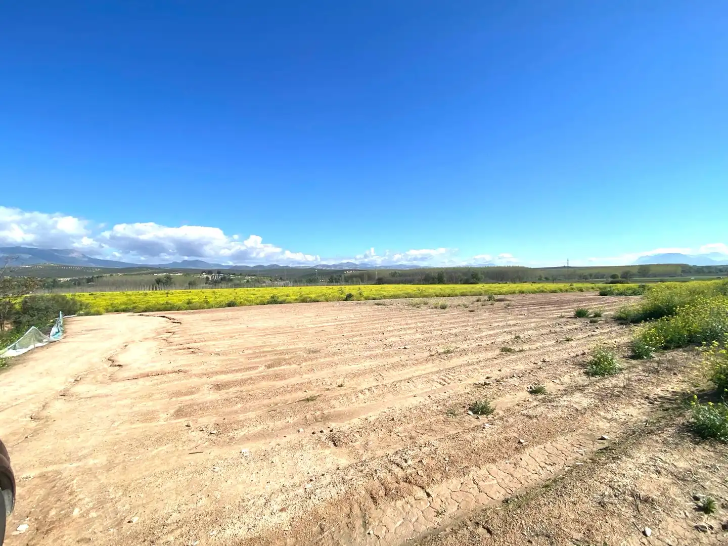 Rustikales Grundstück zum Verkauf in Pinos Puente, imagen 15