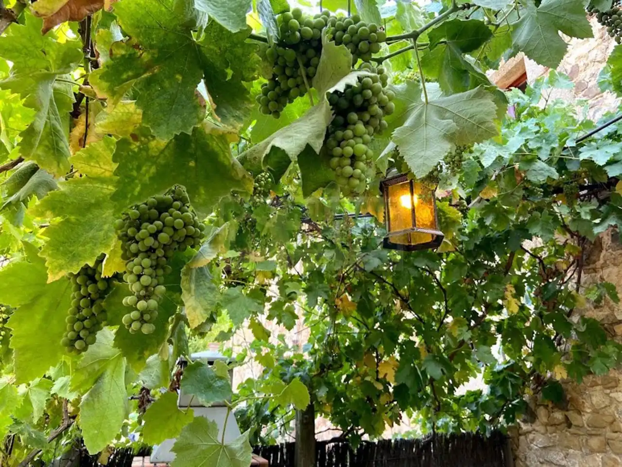 Finca rústica de alquiler en Llagostera con Calefacción, Amueblado y Piscina comunitaria
