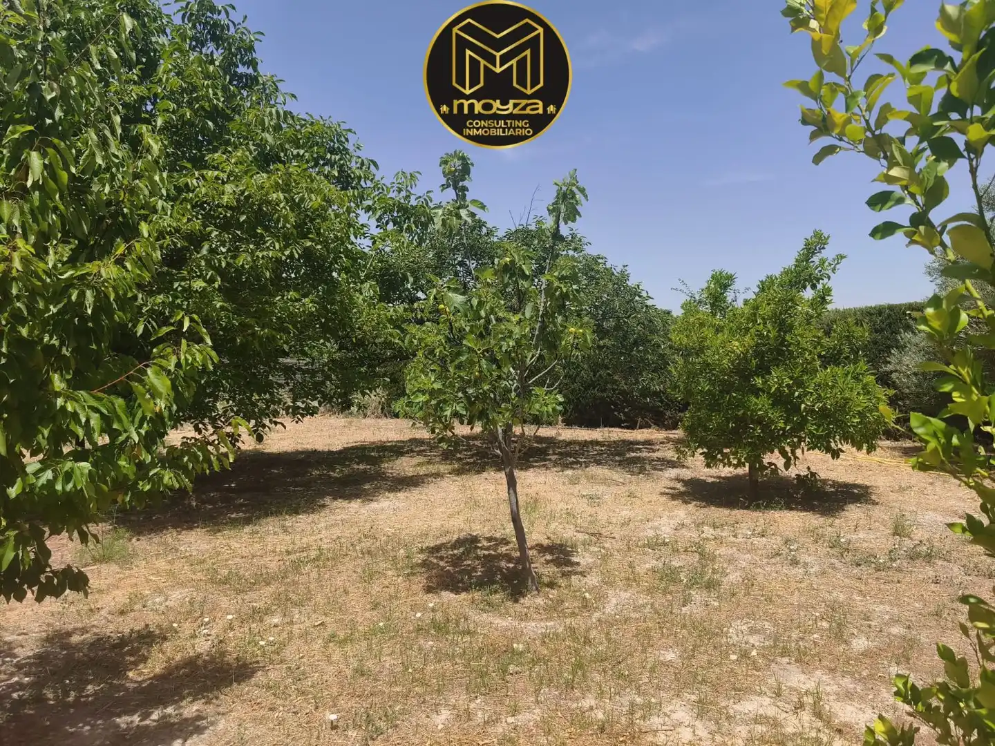 Villa à vendre à La Guardia de Jaén, imagen 18