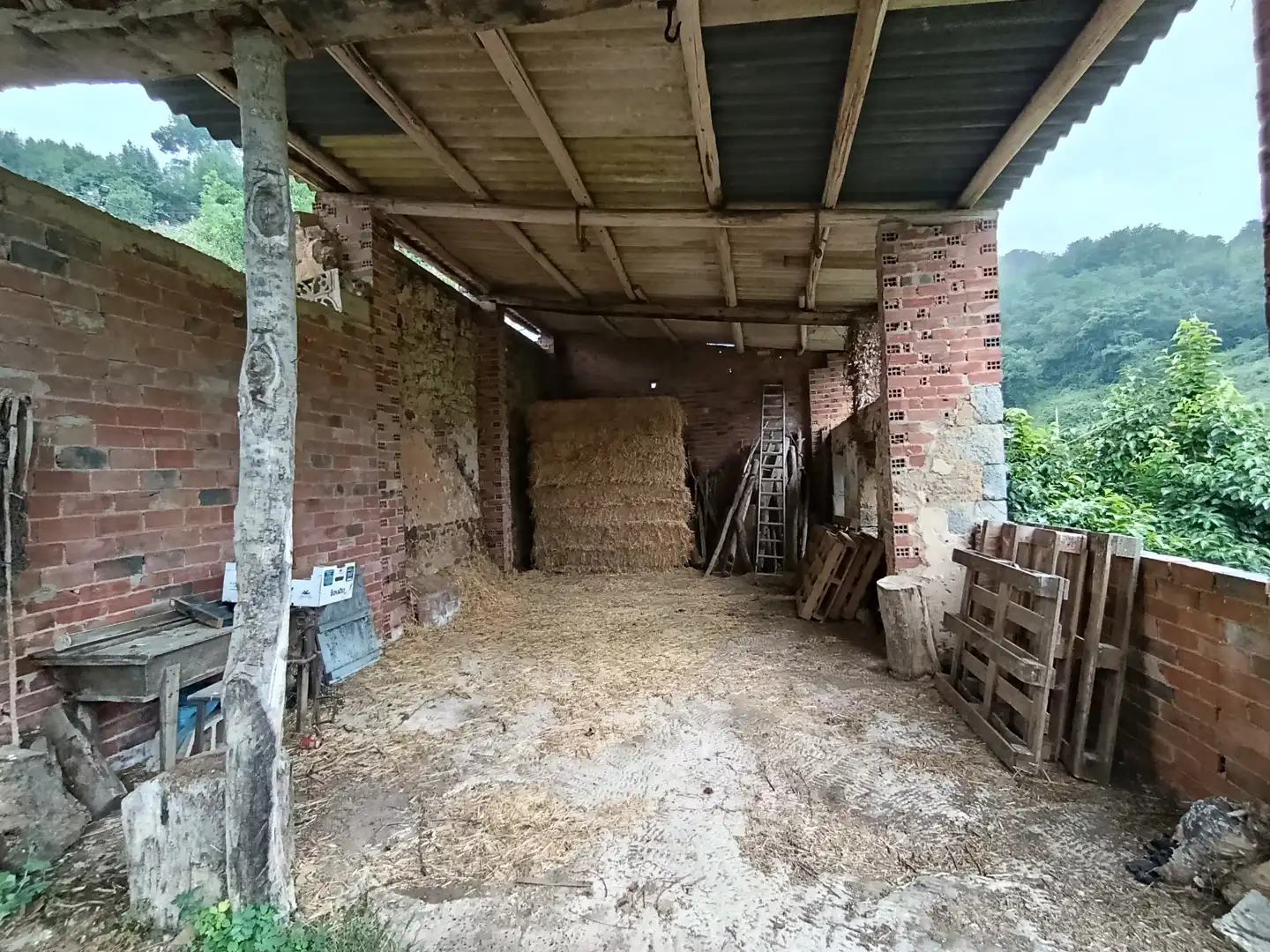 Casa rustica in vendita a AS-237, imagen 11