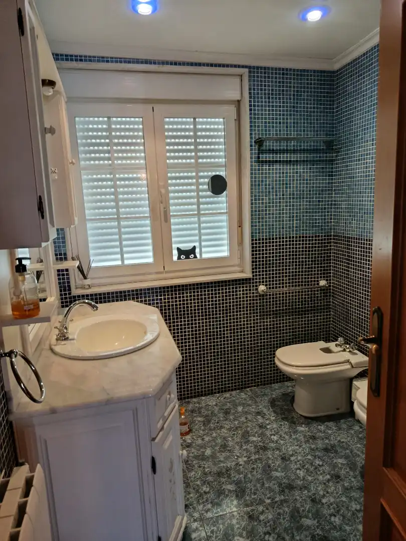 Bany de Casa o xalet en venda en Vegadeo amb Calefacció, Jardí privat i Parquet