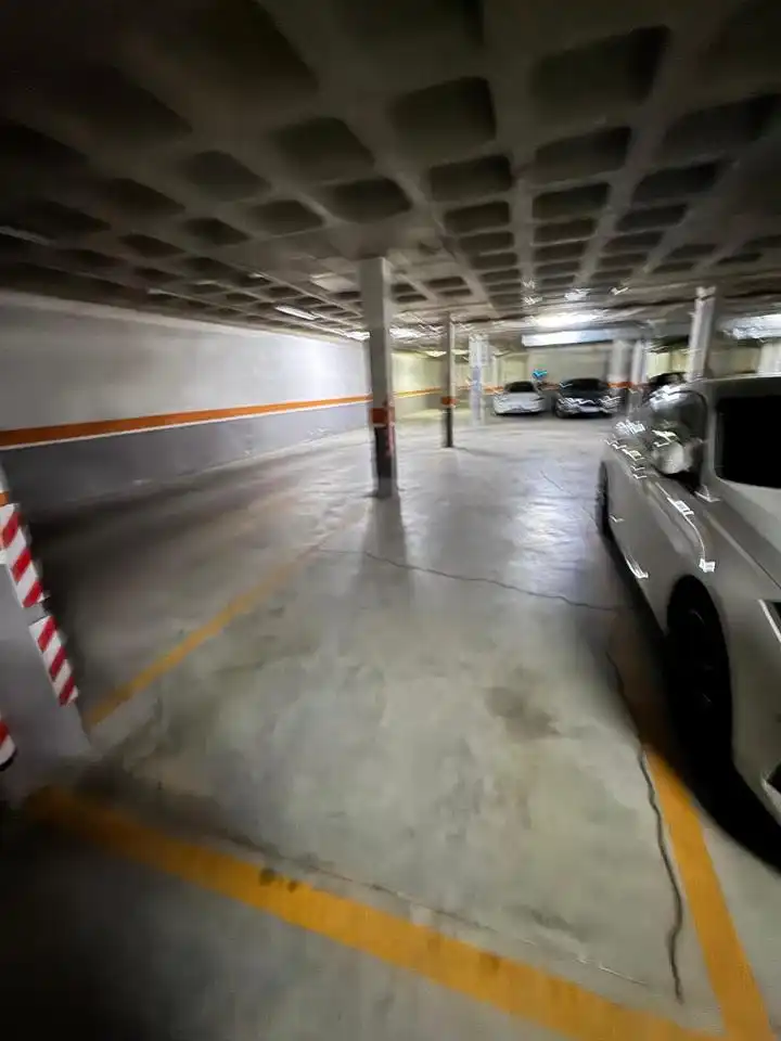 Garage zur Miete in Avenida Mercedes Gaibrois, Las Cañas