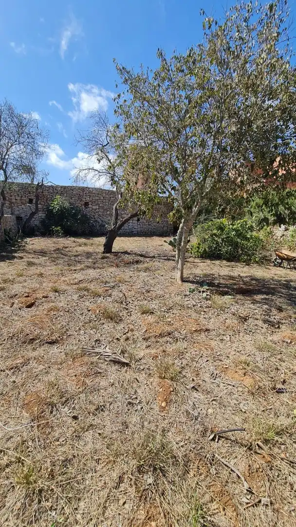 Detached house with garden for sale in Cala Santanyí, imagen 46