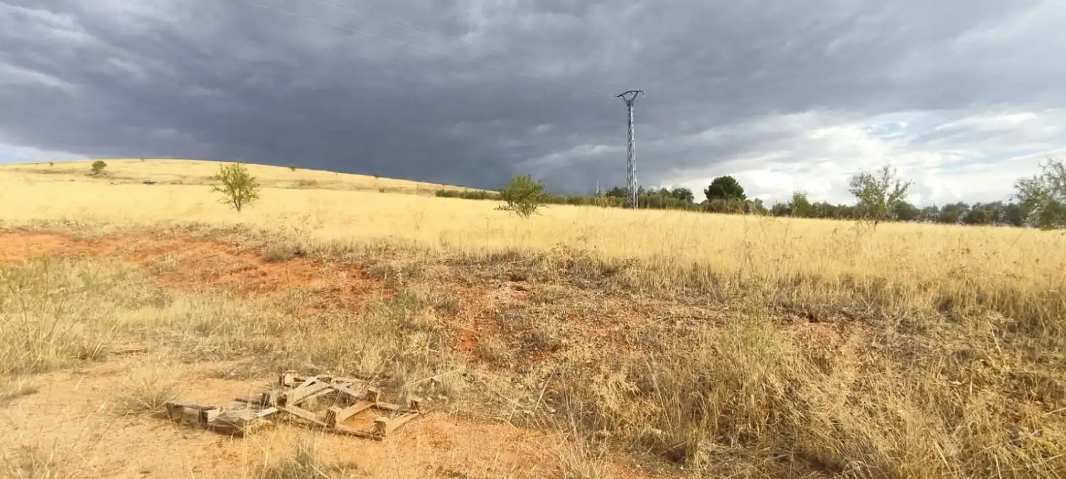Lands and plots for sale in Valdepeñas, imagen 5