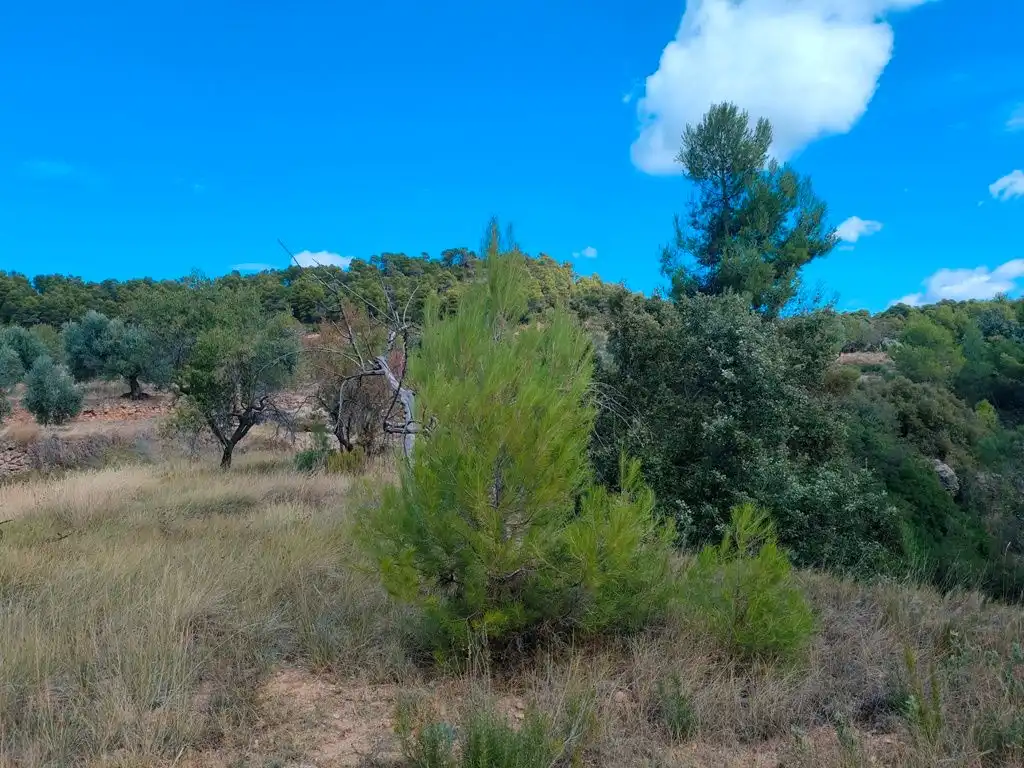 Terreni e lotti in vendita a La Portellada, imagen 3
