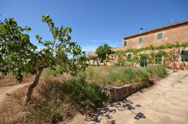 Finca rústica en Venta en Sa Casa Blanca