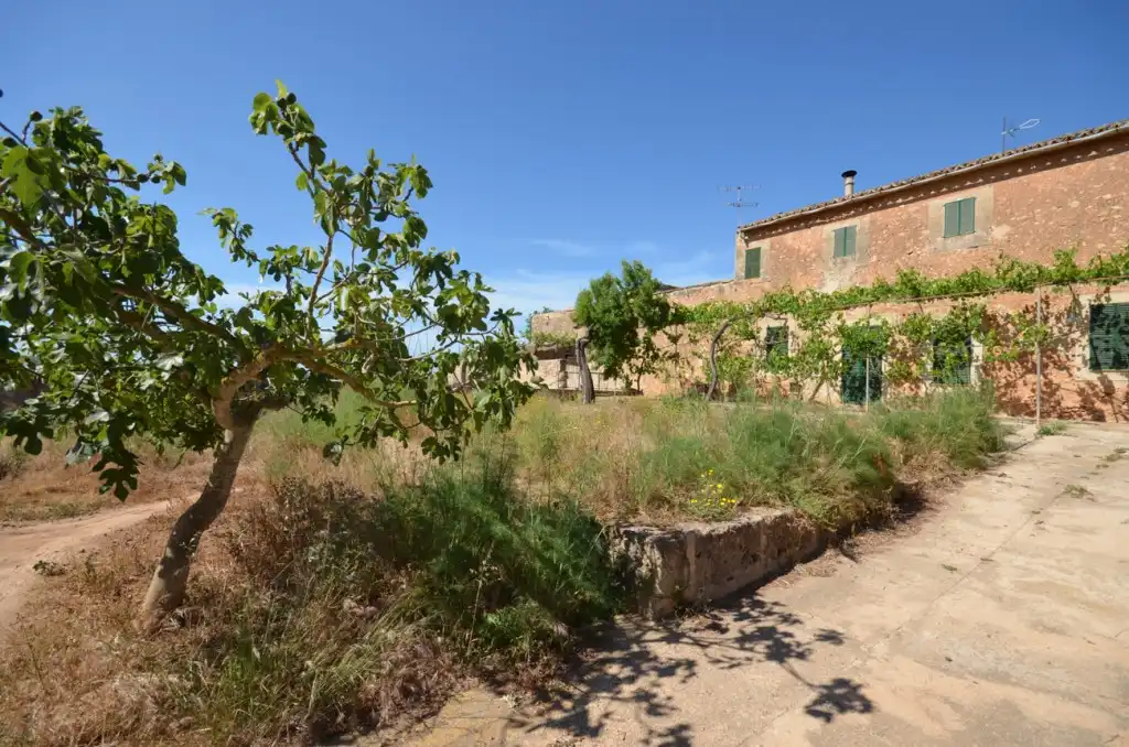Casa rústica en venta en Llevant