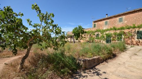 Foto 2 de Finca rústica en venda a Sa Casa Blanca, Palma de Mallorca