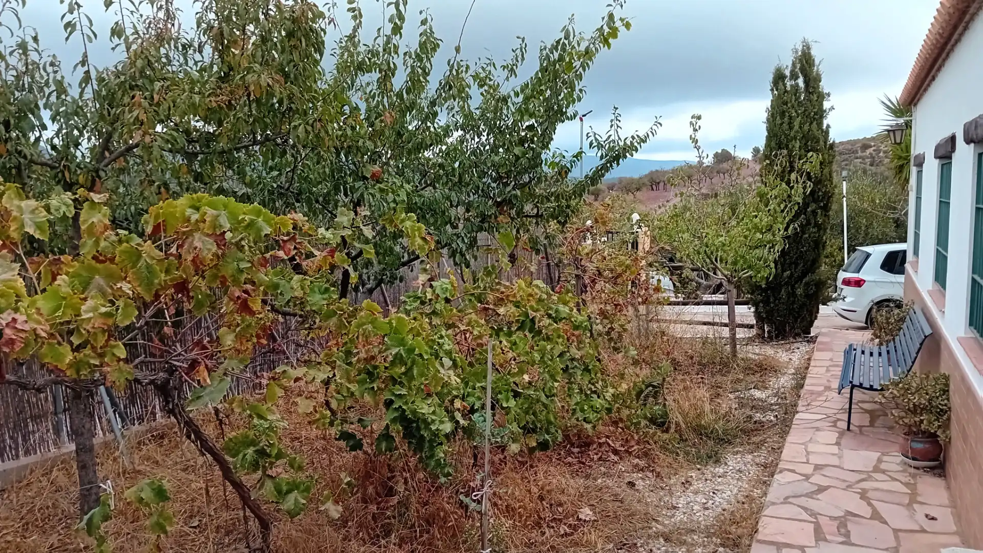 Casa rústica amb jardí en venda a Felix, imagen 13
