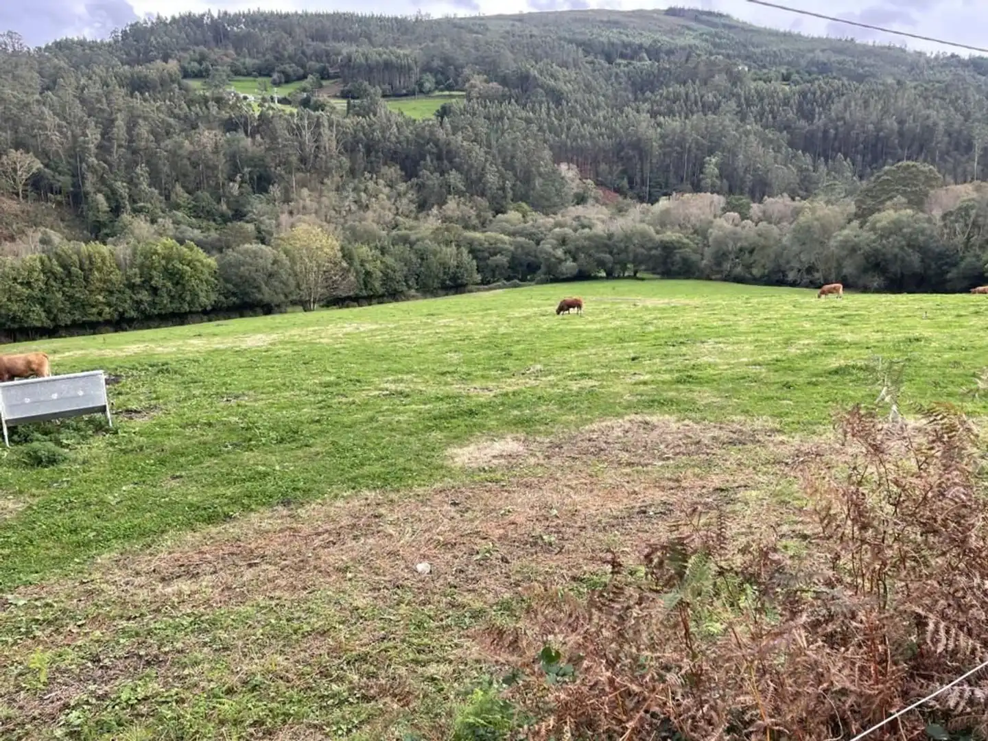 Casa rústica amb jardí en venda a Lugar Solores 2, imagen 7