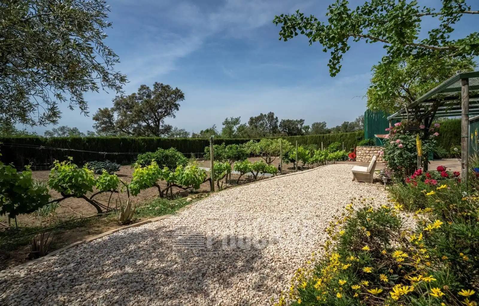 Garden of Houses for sale in Masarac i Vilarnadal  with Air Conditioner, Storage room and Swimming Pool