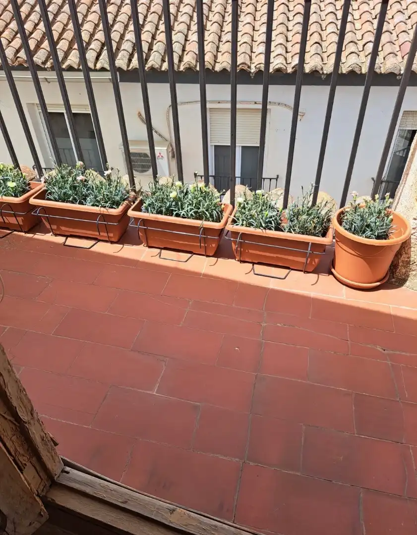 Terraza de Casa o chalet en venta en Guadix