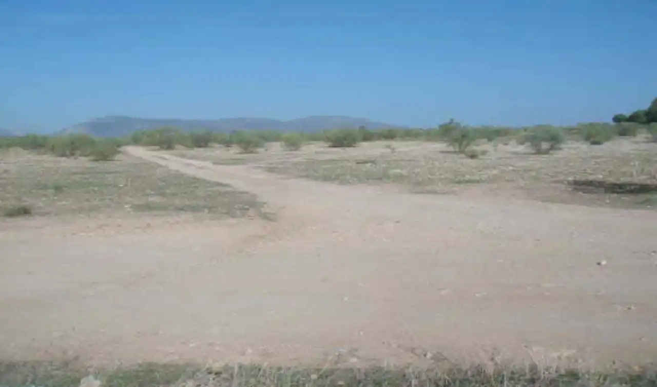 Terreno rustico in vendita a Calicasas