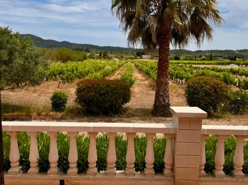 Jardí de Casa o xalet en venda en Ginestar, Tarragona