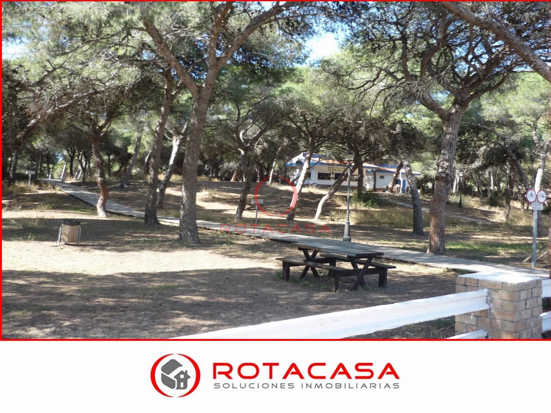 Vista exterior de Apartament en venda en Rota amb Terrassa