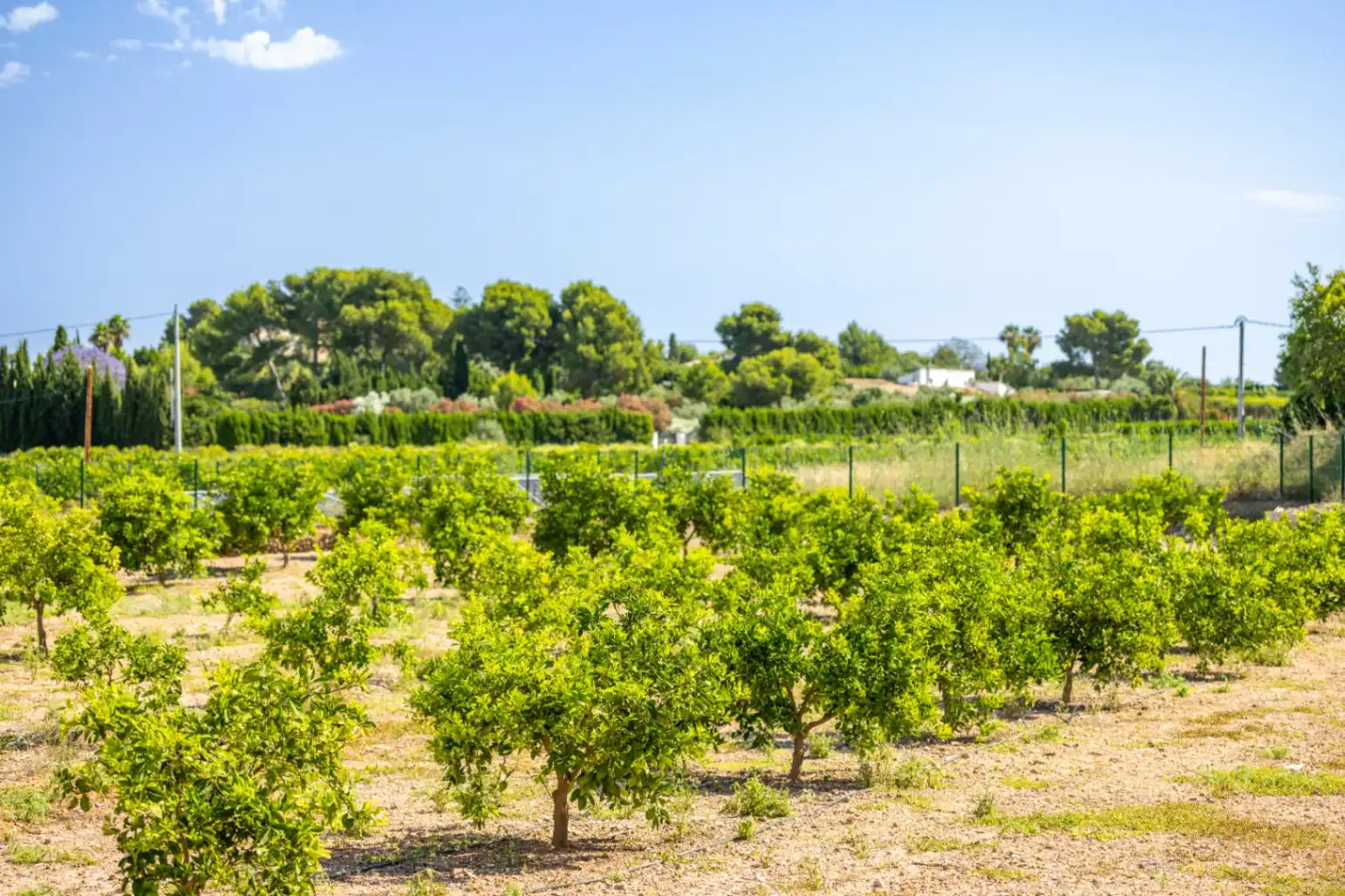 Finca rústica en venda en Dénia amb Aire condicionat, Calefacció i Jardí privat