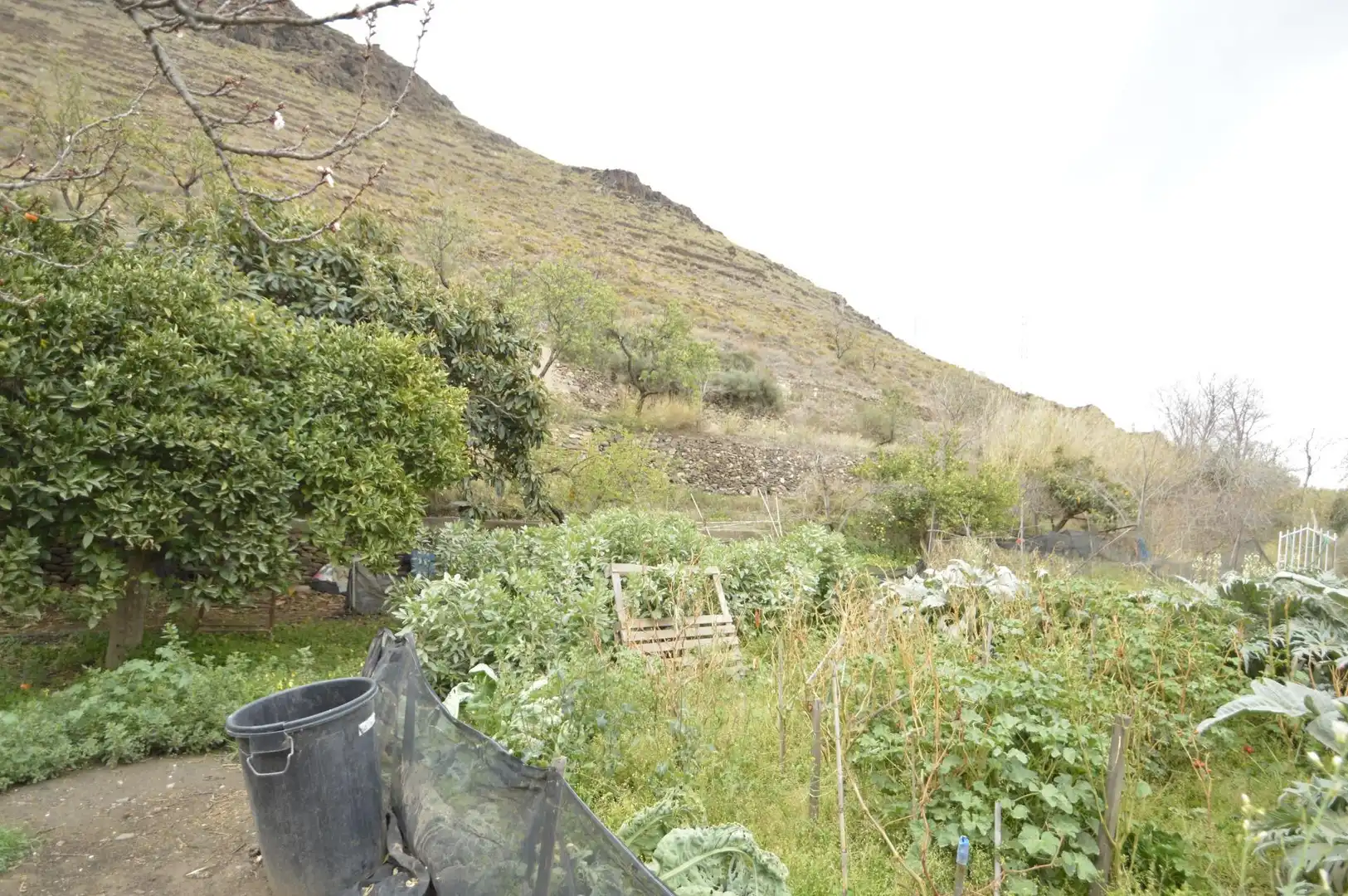 Finca rústica en venta en Gérgal