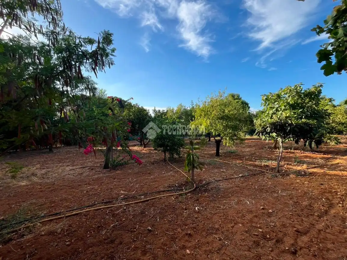 Finca rústica en venta en Carmona