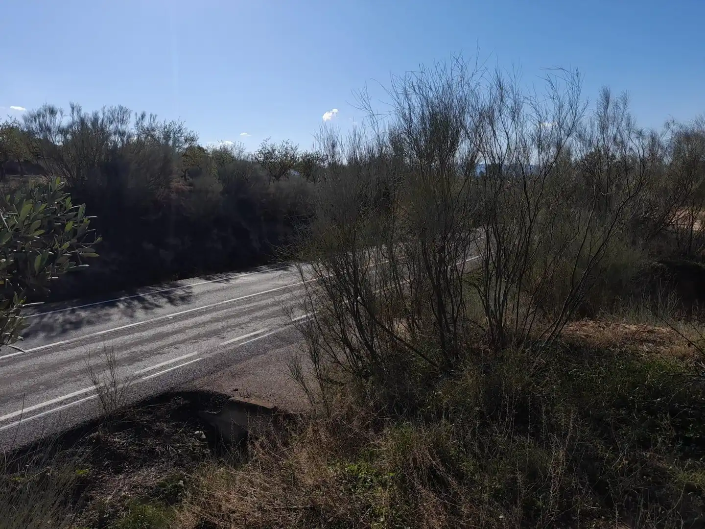 Casa o xalet en venda en Flix amb Jardí privat, Terrassa i Traster