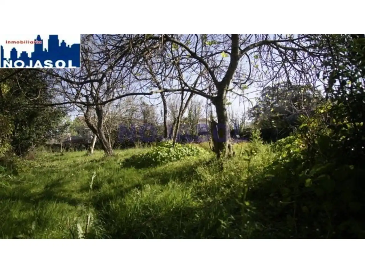 Maison avec jardin à vendre à Calle las viñas, imagen 17