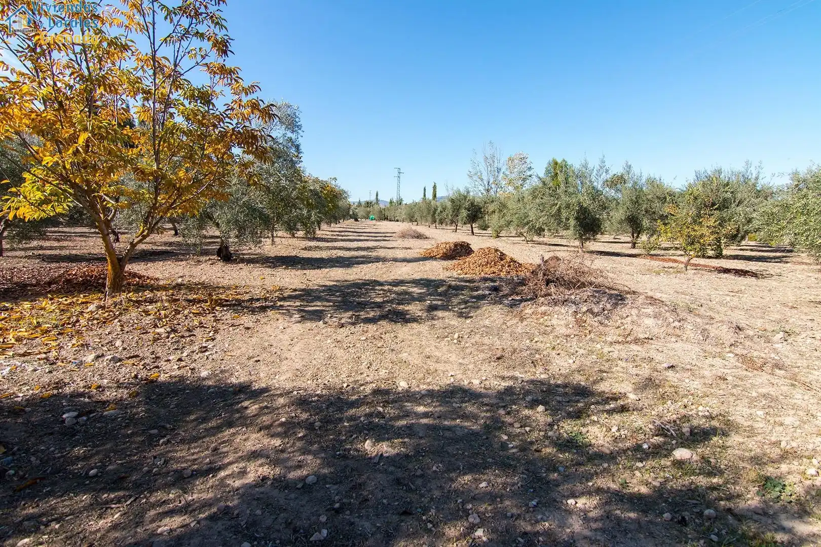 Casa o chalet en venta en Huétor Tájar con Calefacción, Jardín privado y Terraza