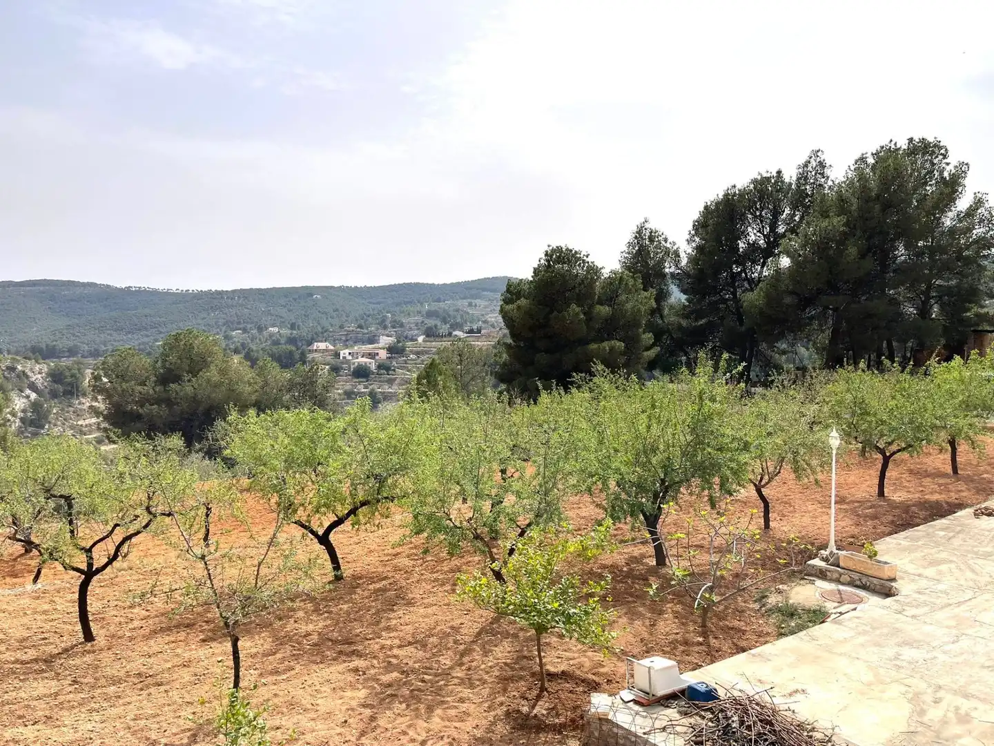 Garten von Haus oder Chalet zum Verkauf in Mula mit Privatgarten, Terrasse und Abstellraum