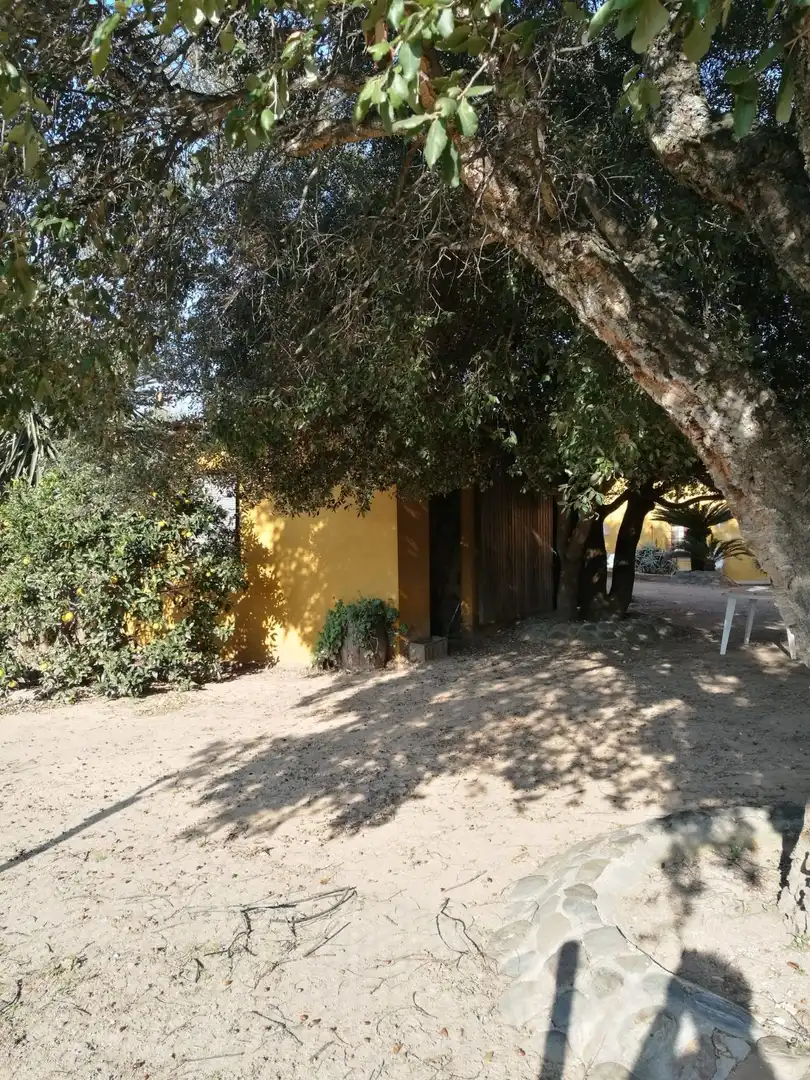 Vista exterior de Finca rústica en venta en Palafrugell con Aire acondicionado, Calefacción y Terraza