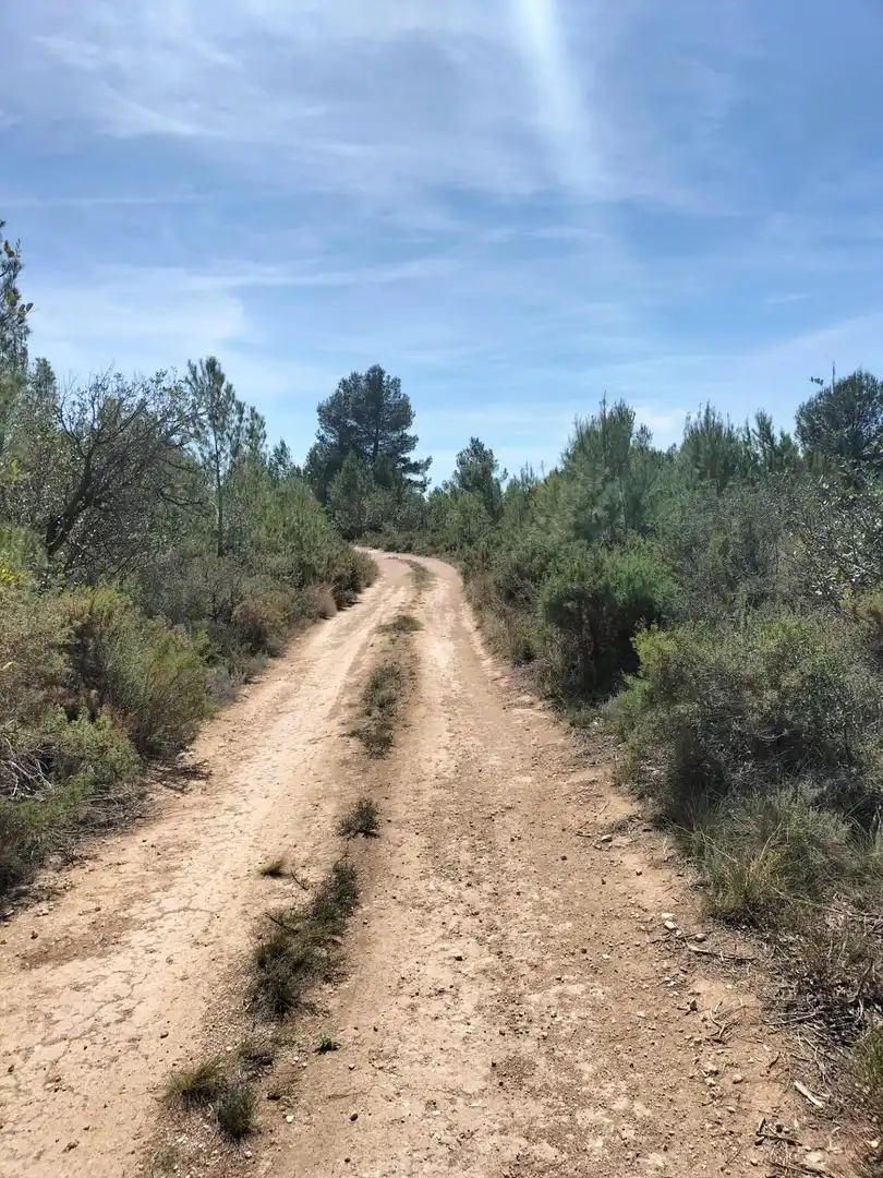 Terreno rustico in vendita a Navarrés, imagen 12
