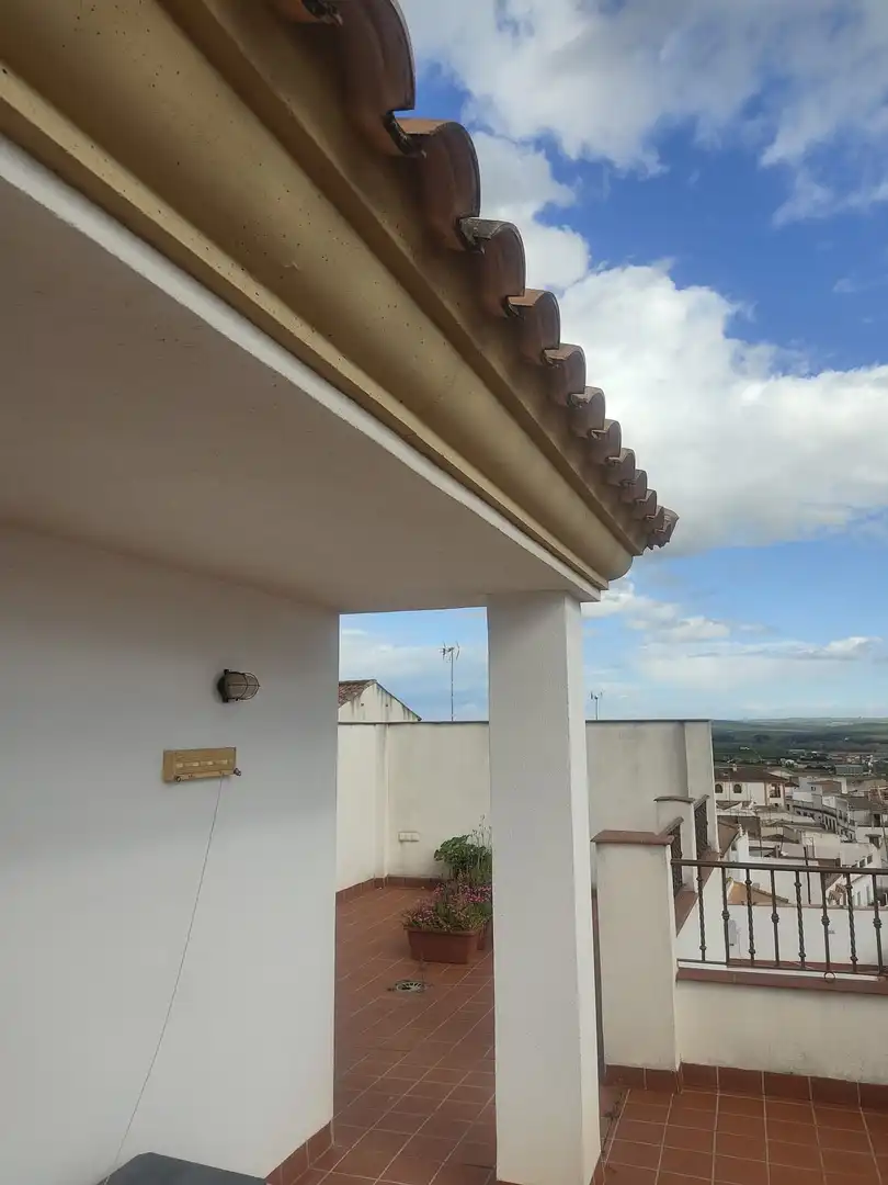 Haus mit Terrasse zum Verkauf in Calle ARROYO MOLINO VIENTO, imagen 33