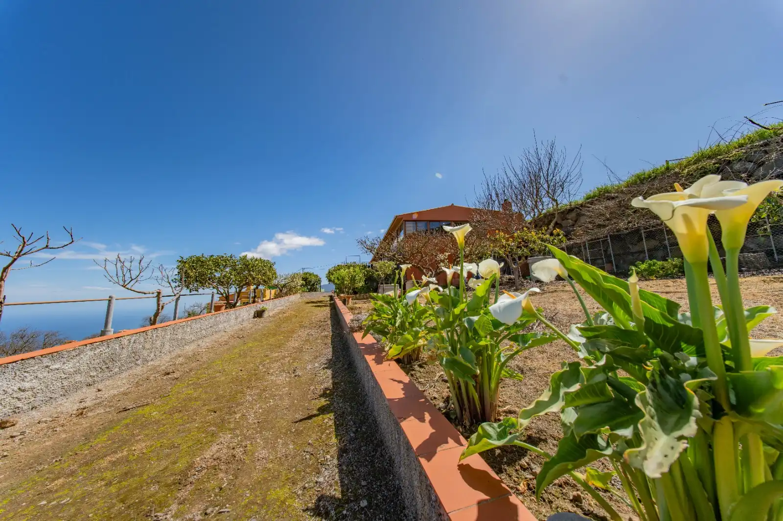 Jardí de Casa o xalet en venda en La Guancha amb Jardí privat, Terrassa i Traster