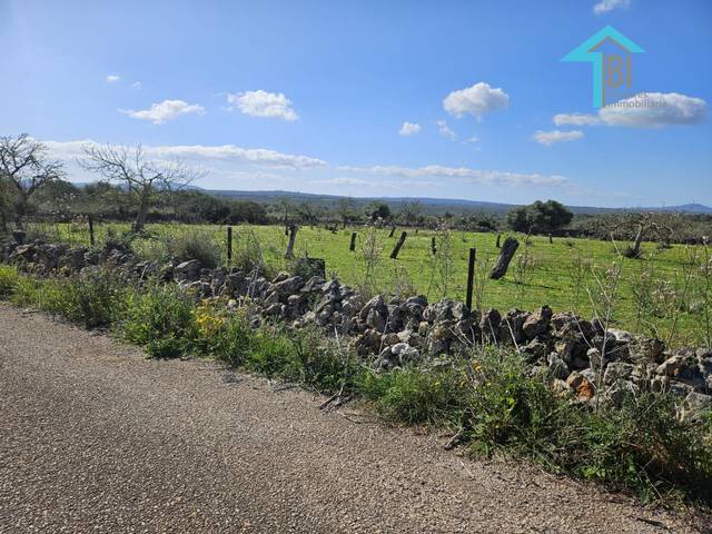 Terreno residencial en Venta en  Santa Margalida en Santa Margalida Poble
