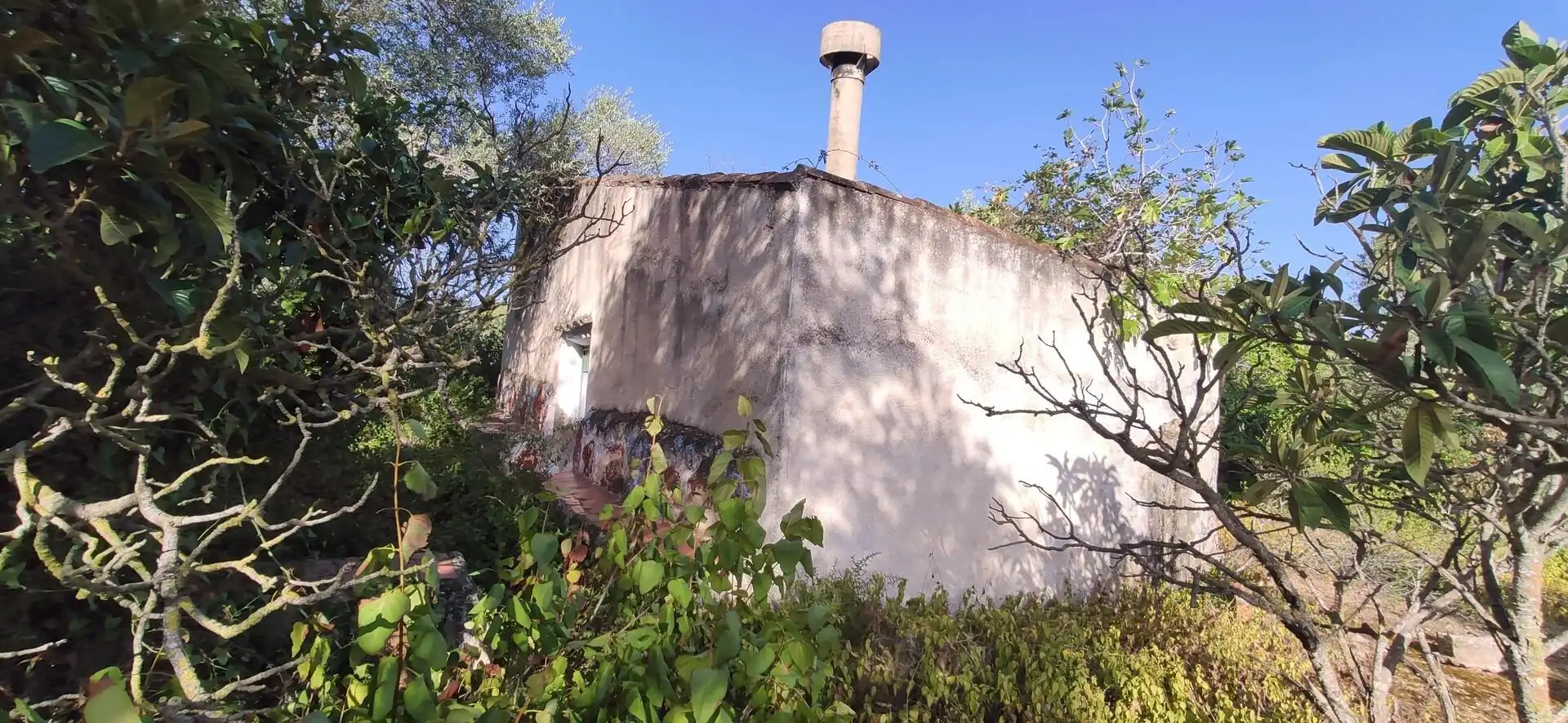 Country homes for sale in Eucaliptus - Poble Nou del Delta