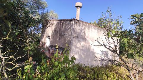 Foto 4 de Finca rústica en venta en Eucaliptus - Poble Nou del Delta, Amposta