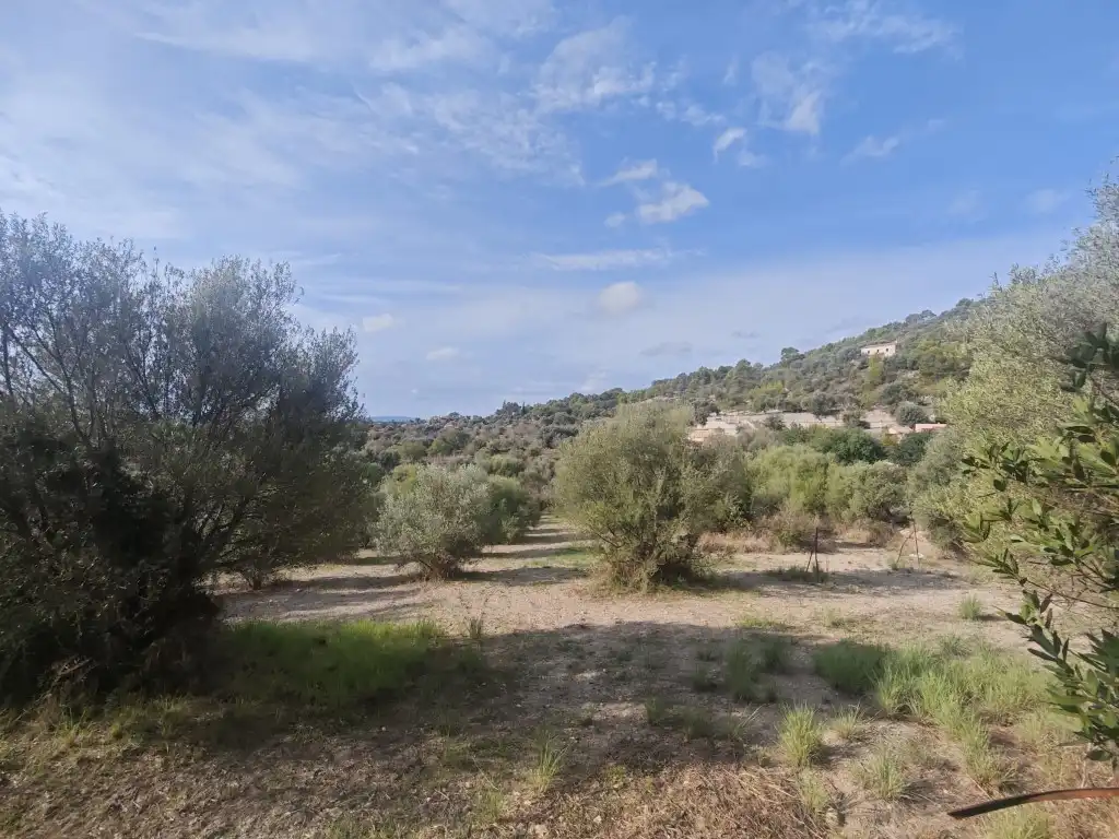 Casa rústica en venta en Selva, imagen 11