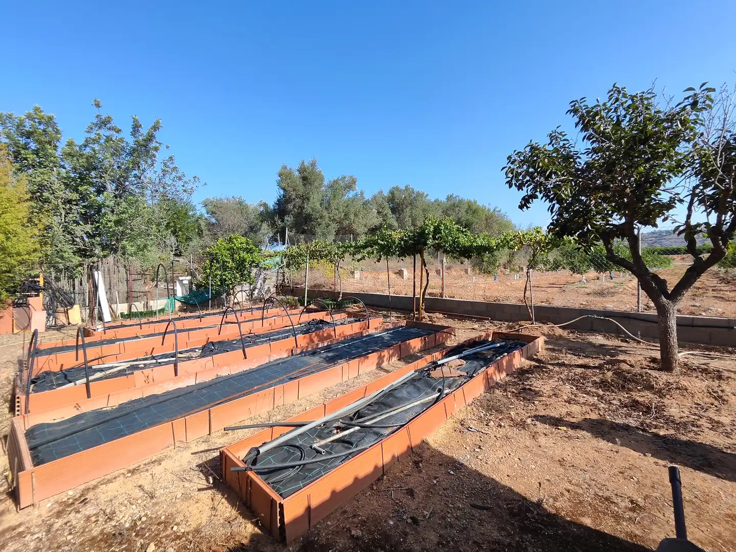Jardí de Casa o xalet en venda en Torrent amb Aire condicionat, Jardí privat i Terrassa