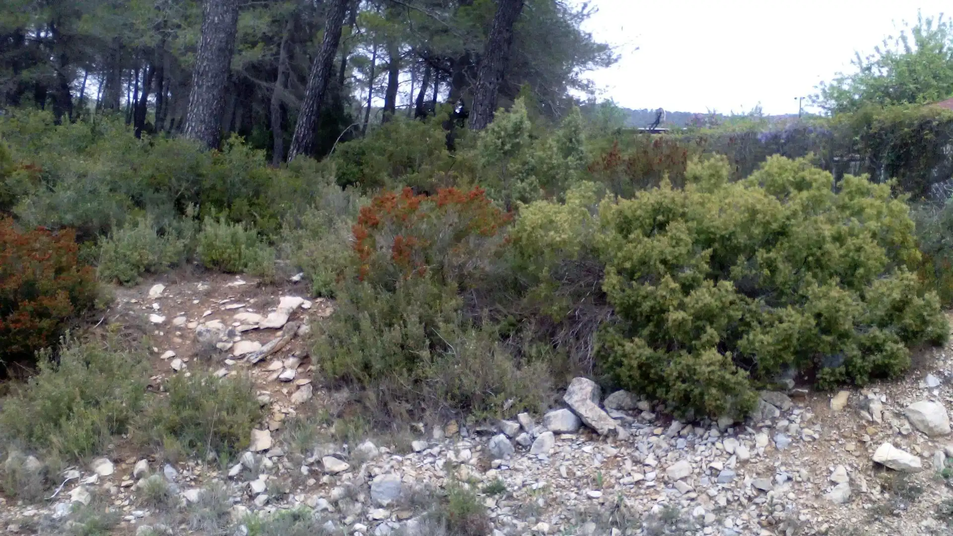 Terreni e lotti in vendita a Querol, imagen 3