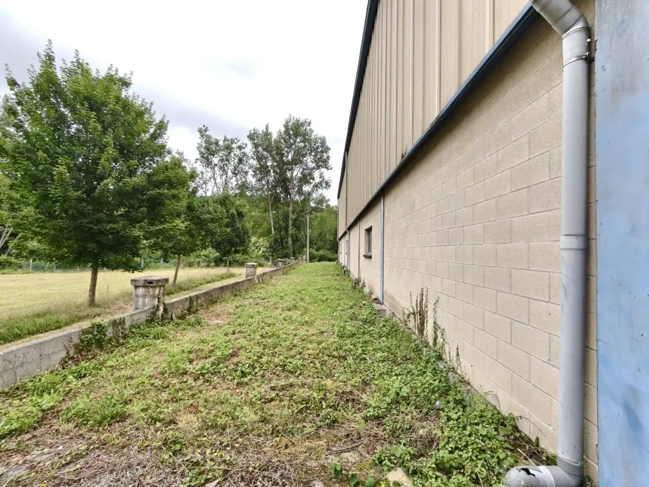 Vista exterior de Nave industrial en venta en Artziniega