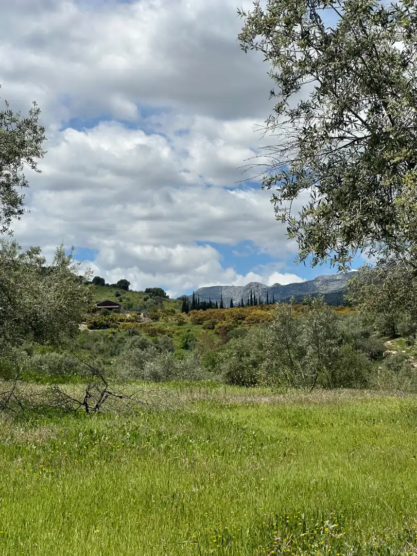 Terreni e lotti in vendita a Periana, imagen 18