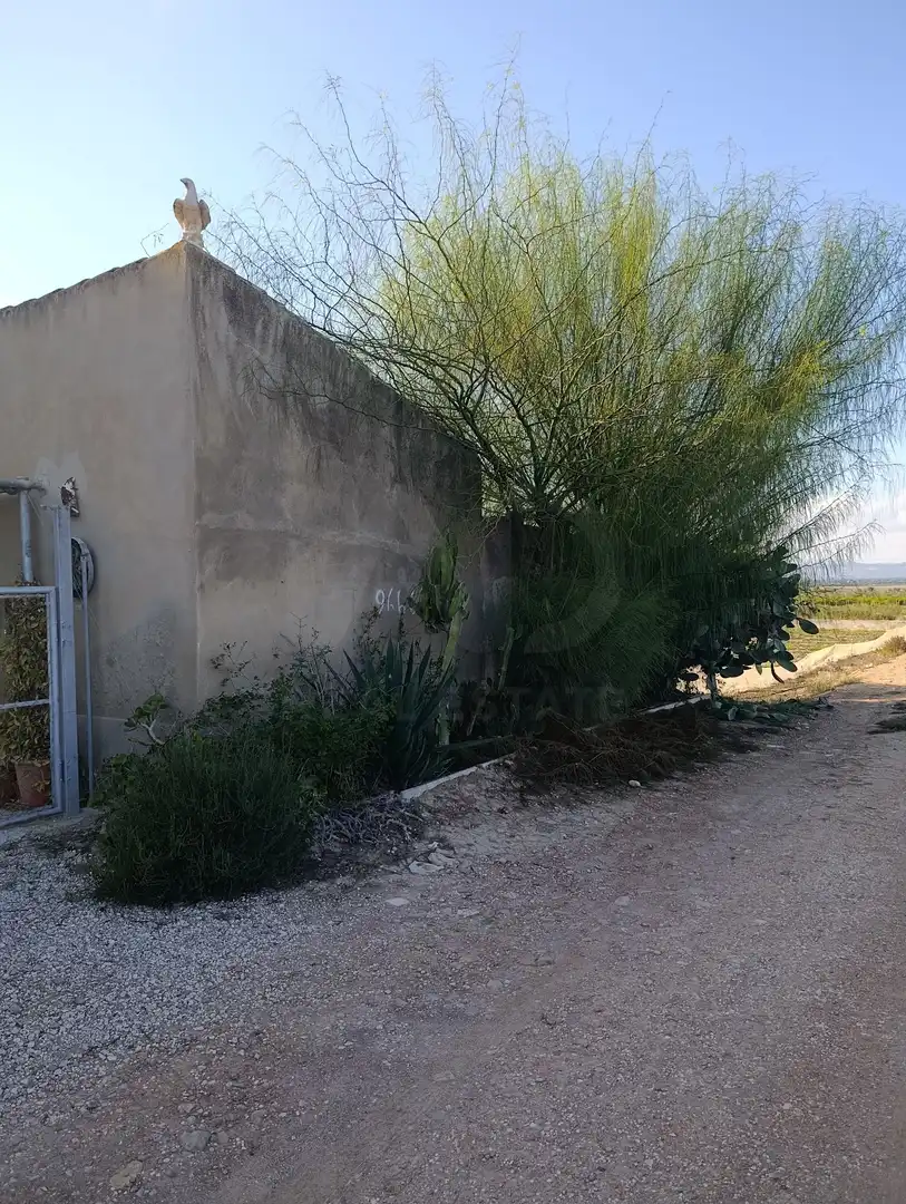 Terrain rustique à vendre à La Marina, imagen 28
