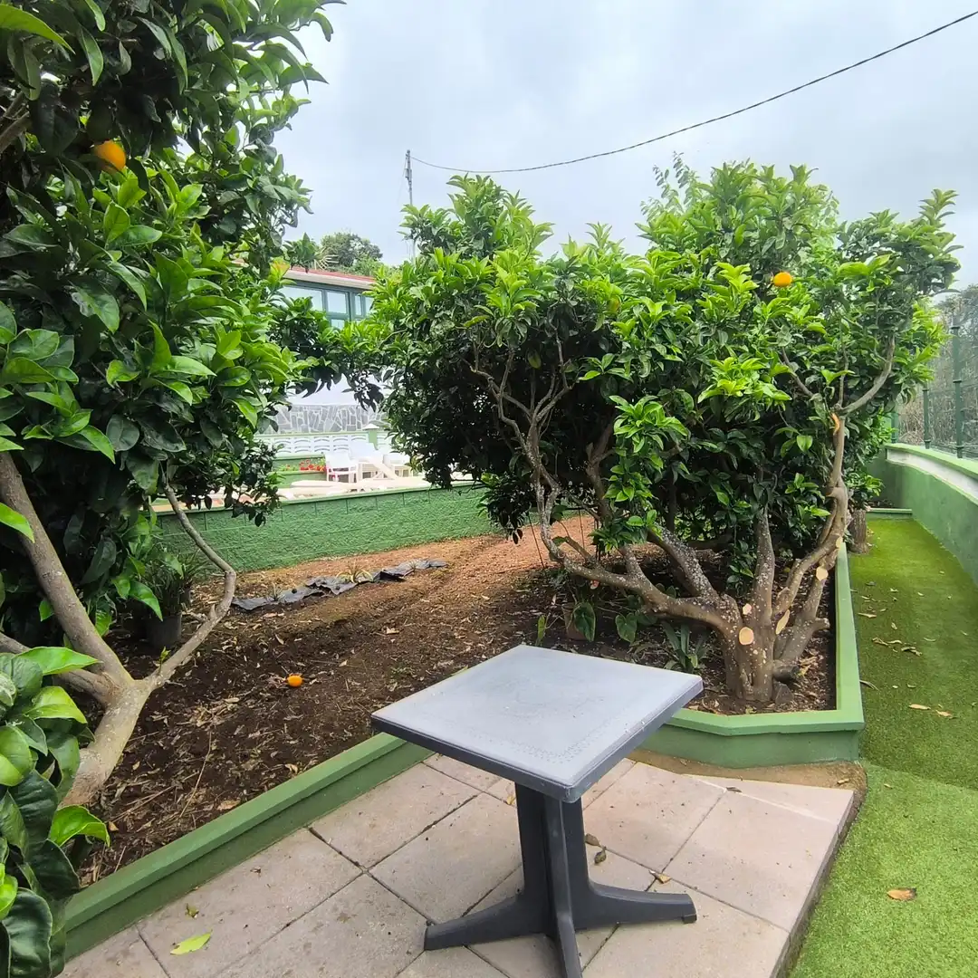 Terrace of Attic for rent in La Orotava  with Furnished